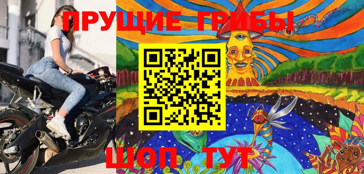 Псилоцибиновые грибы Psilocybe Кольчугино