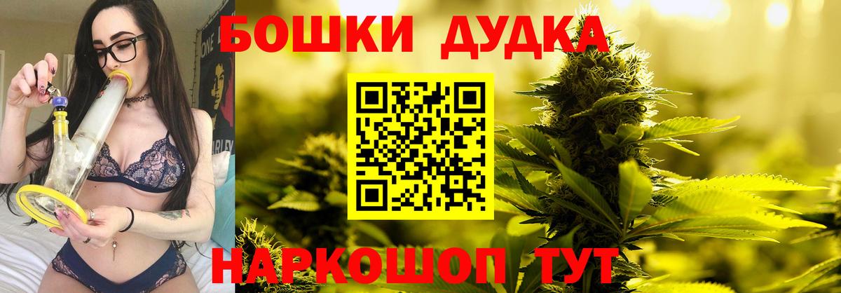 Бошки Шишки планчик Кольчугино